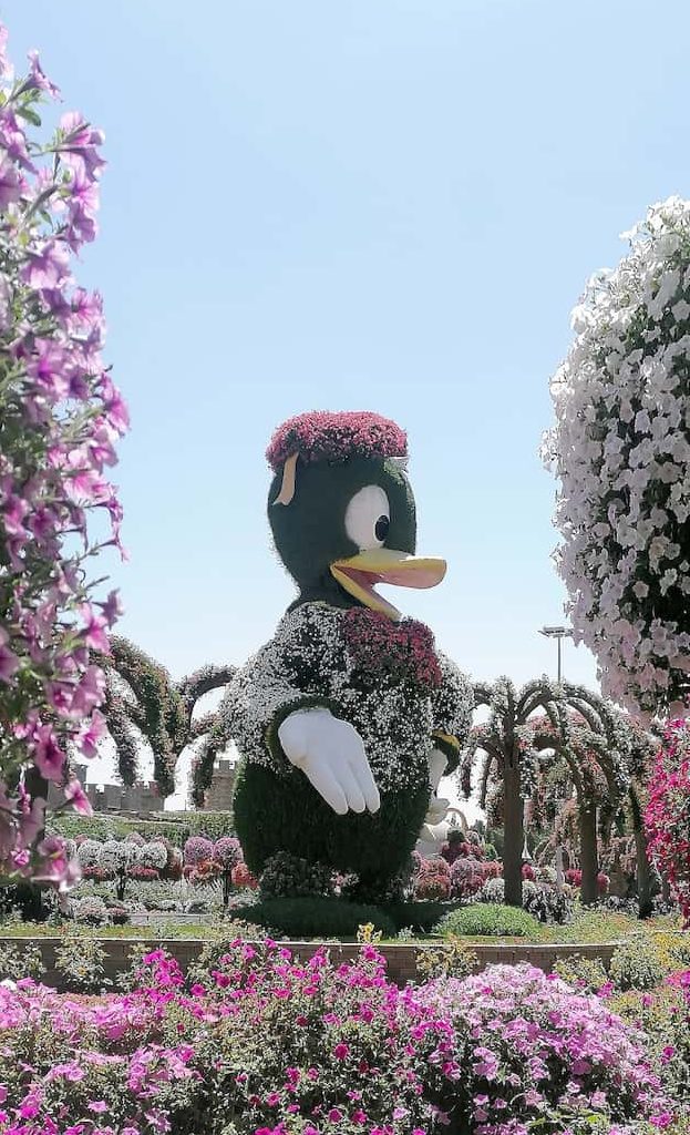 Miracle Garden à Dubaï est le plus grand parc floral au monde