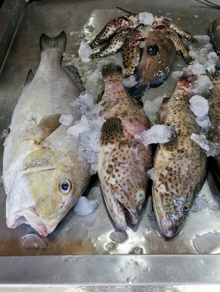 La marché aux poissons de Rawai Beach