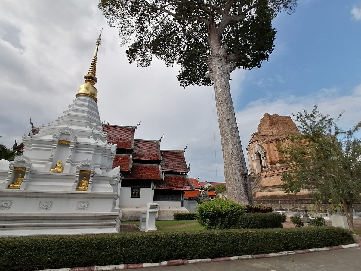 Wat Chedi Luang est vraiment notre temple préféré de Chiang Mai