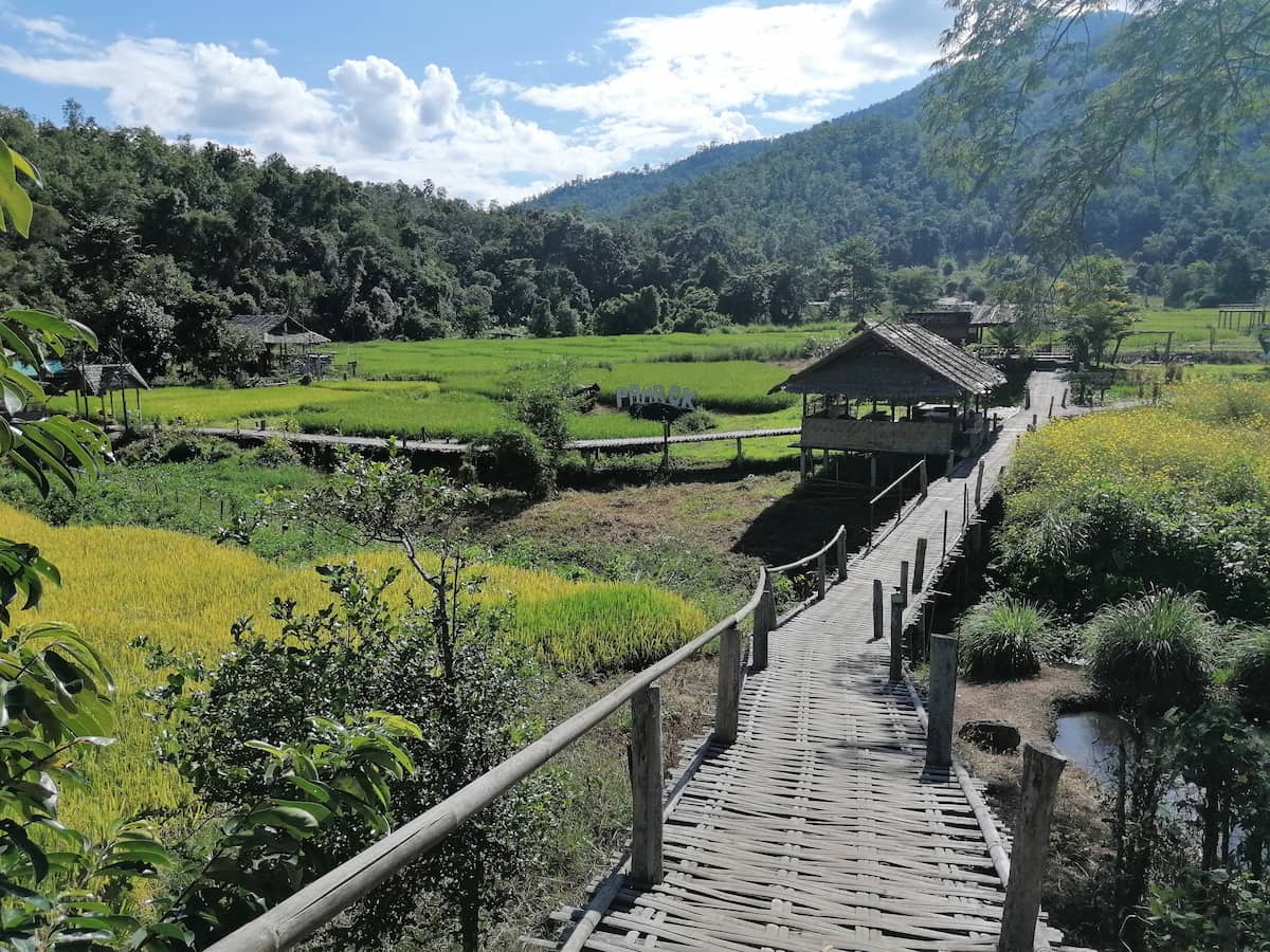 Rizières et Bamboo Bridge à Pai en Thaïlande