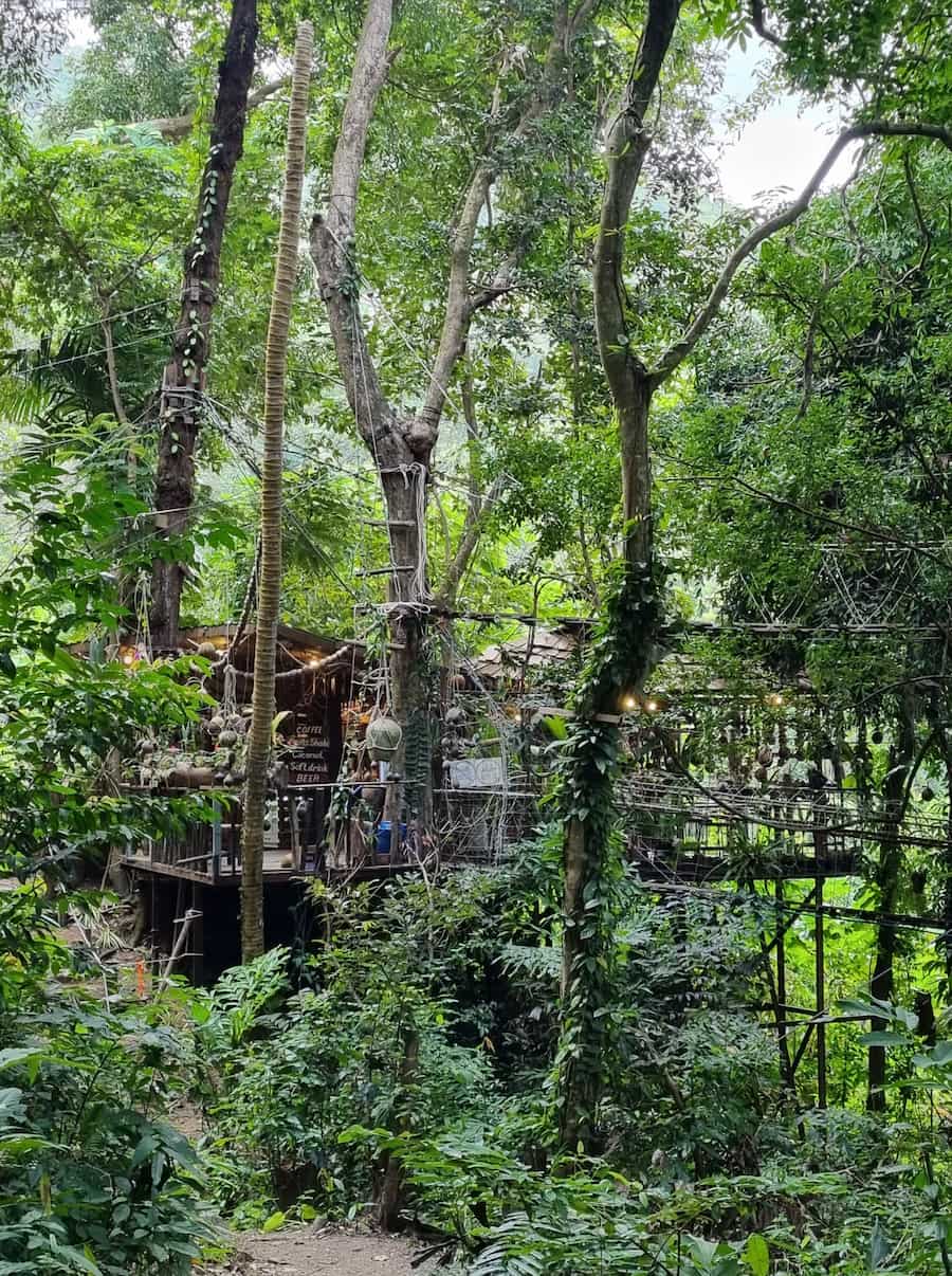 Bien camouflé dans la jungle, le Tree Bridge Coffee mérite vraiment le détour