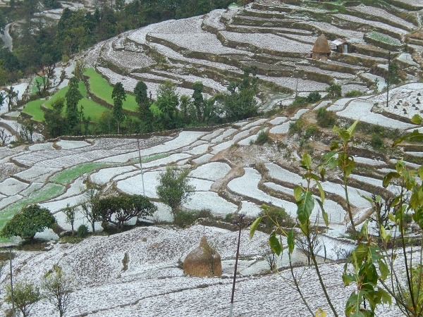 À peine arrivés à Dhampus, un orage de grêle s’est abattu sur la région, laissant un tapis blanc sur les cultures.