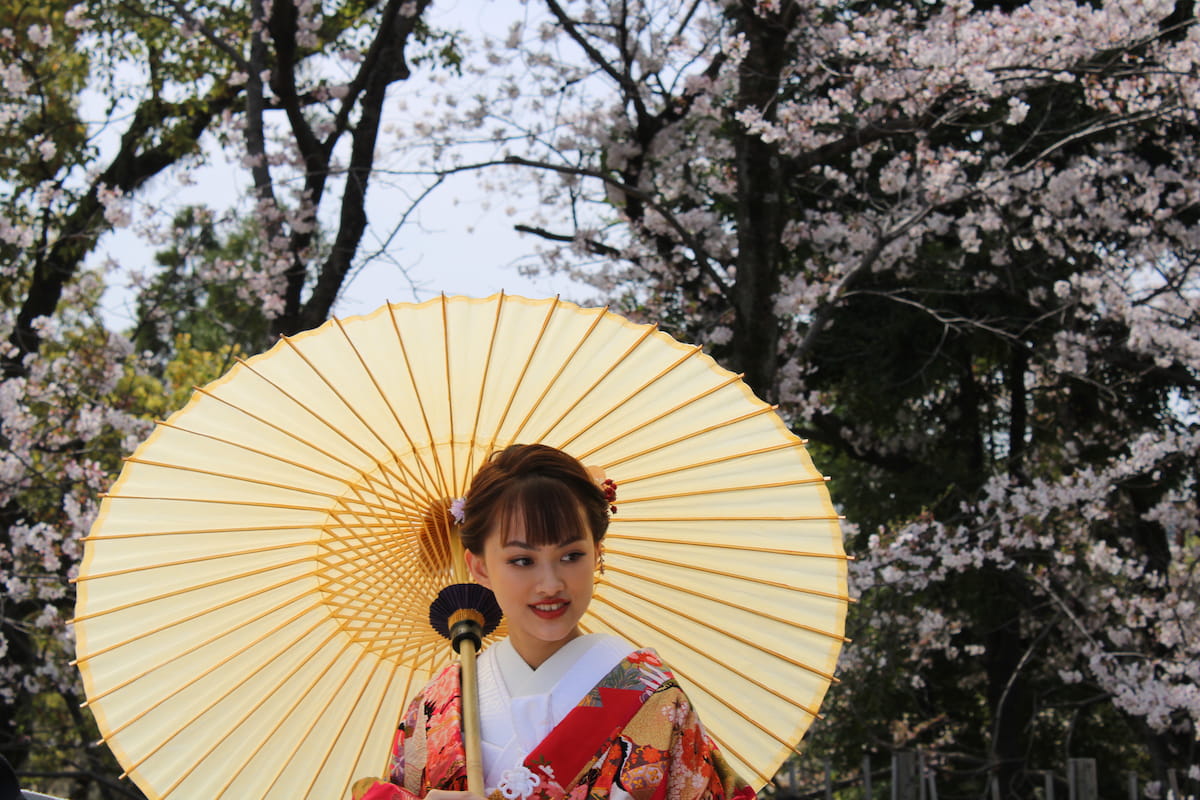 Le Japon, un pays exceptionnel à découvrir, bercé entre tradition et modernité