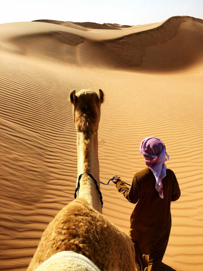 à part un chameau qui passe par ici!! 