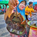 Une limule sur un marché à Phuket. L'intérieur de mange, un peu comme la chaire de crabe.