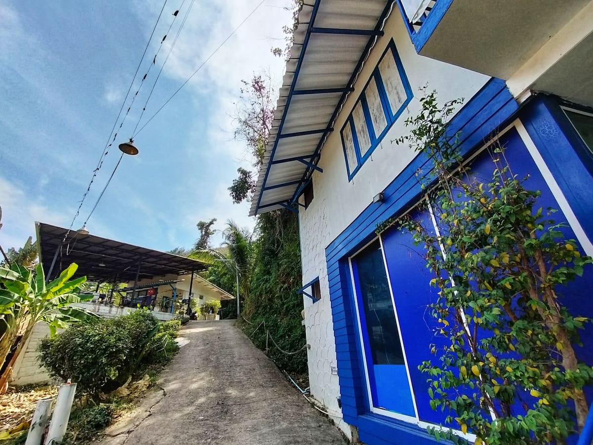 Le MontView Resort c'est 2 petites maisonnettes à la location et Nui habite une 3e maisonnette sur place. Présence de 2 chiens bien gentils sur place.