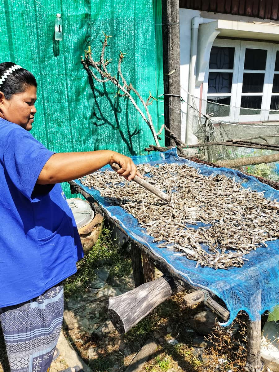 Séchage des poissons au soleil.